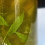 Charlotte aux figues vertes, mascarpone et huile d’olive